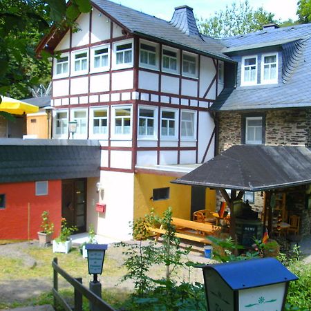 Pension & Apartments Linkemuehle Niederfell Exterior photo