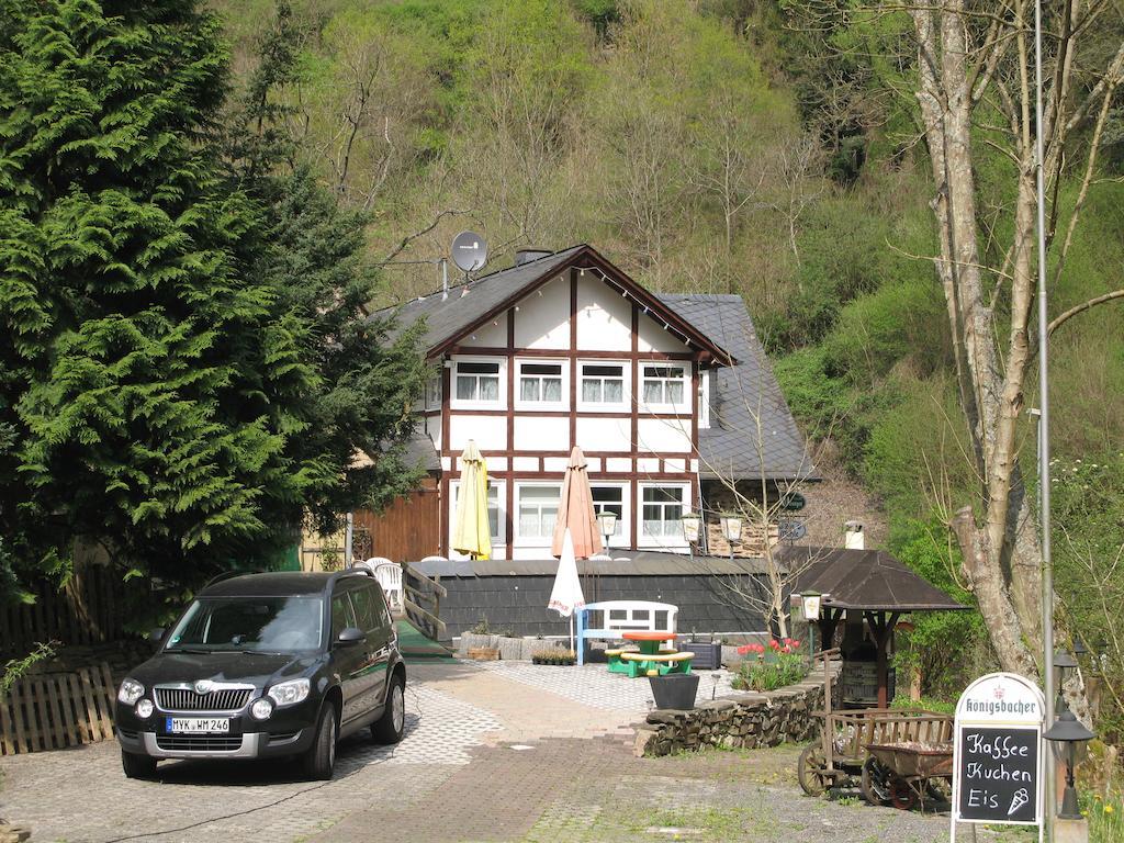 Pension & Apartments Linkemuehle Niederfell Exterior photo