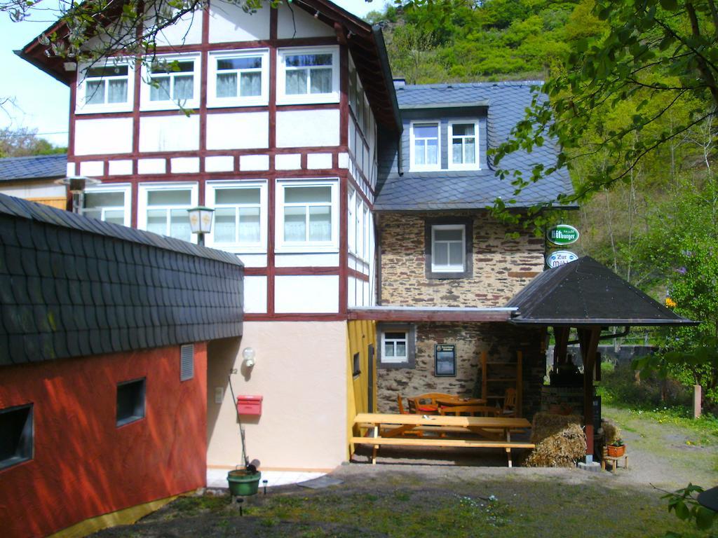 Pension & Apartments Linkemuehle Niederfell Exterior photo